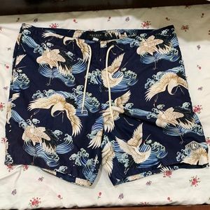 Pacsun swim shorts